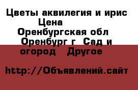 Цветы аквилегия и ирис › Цена ­ 50-100 - Оренбургская обл., Оренбург г. Сад и огород » Другое   